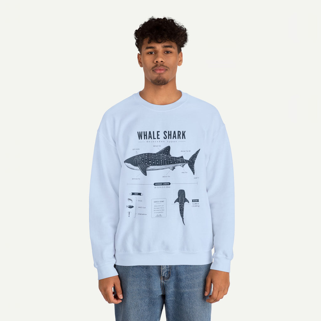 Whale Shark Anatomy Sweatshirt — Marine Life Illustration Crewneck