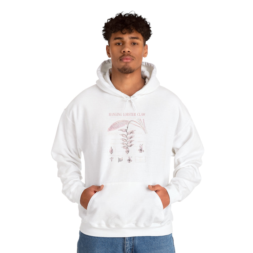 Botanical Growth Hoodie — Humming Lighter Club Plant Diagram Pullover