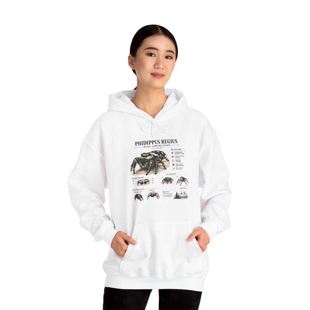 Tarantula Species Hoodie — Phidippus Regius Educational Spider Sweatshirt