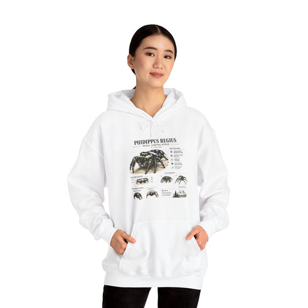 Tarantula Species Hoodie — Phidippus Regius Educational Spider Sweatshirt