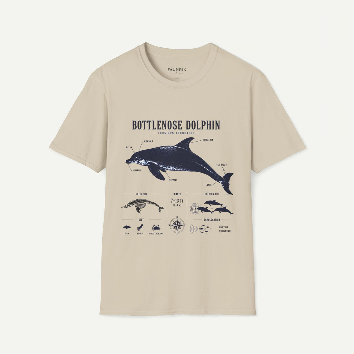 Bottlenose Dolphin Anatomy Tee – Illustrated Marine Life T-Shirt