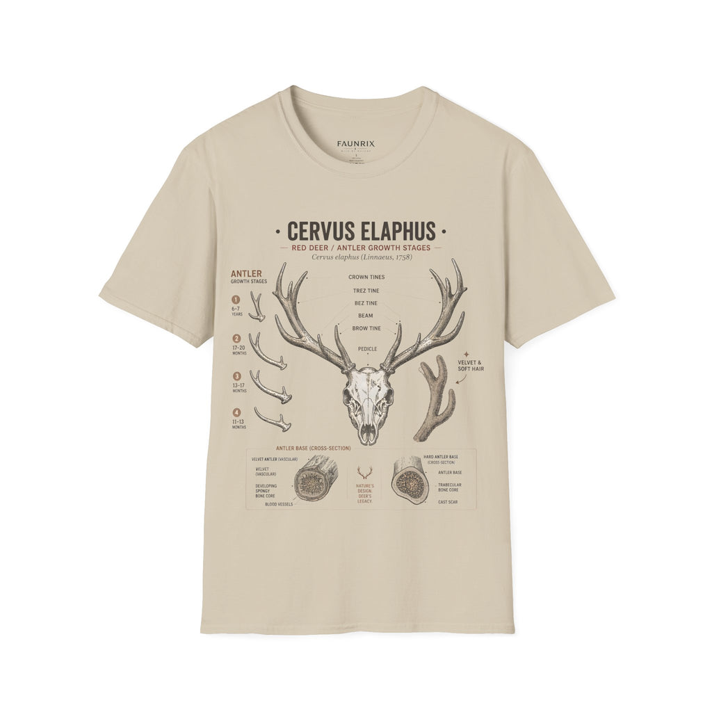 Deer Antler Anatomy T-Shirt — 'Cervus Elaphus' Educational Graphic