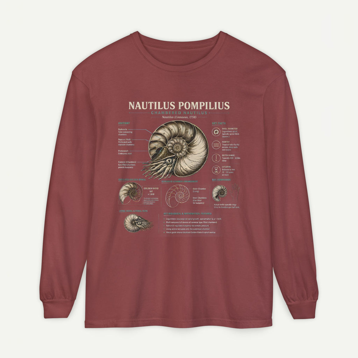 Nautilus Pompilius Anatomy Long Sleeve Tee — Vintage Marine Science Shirt