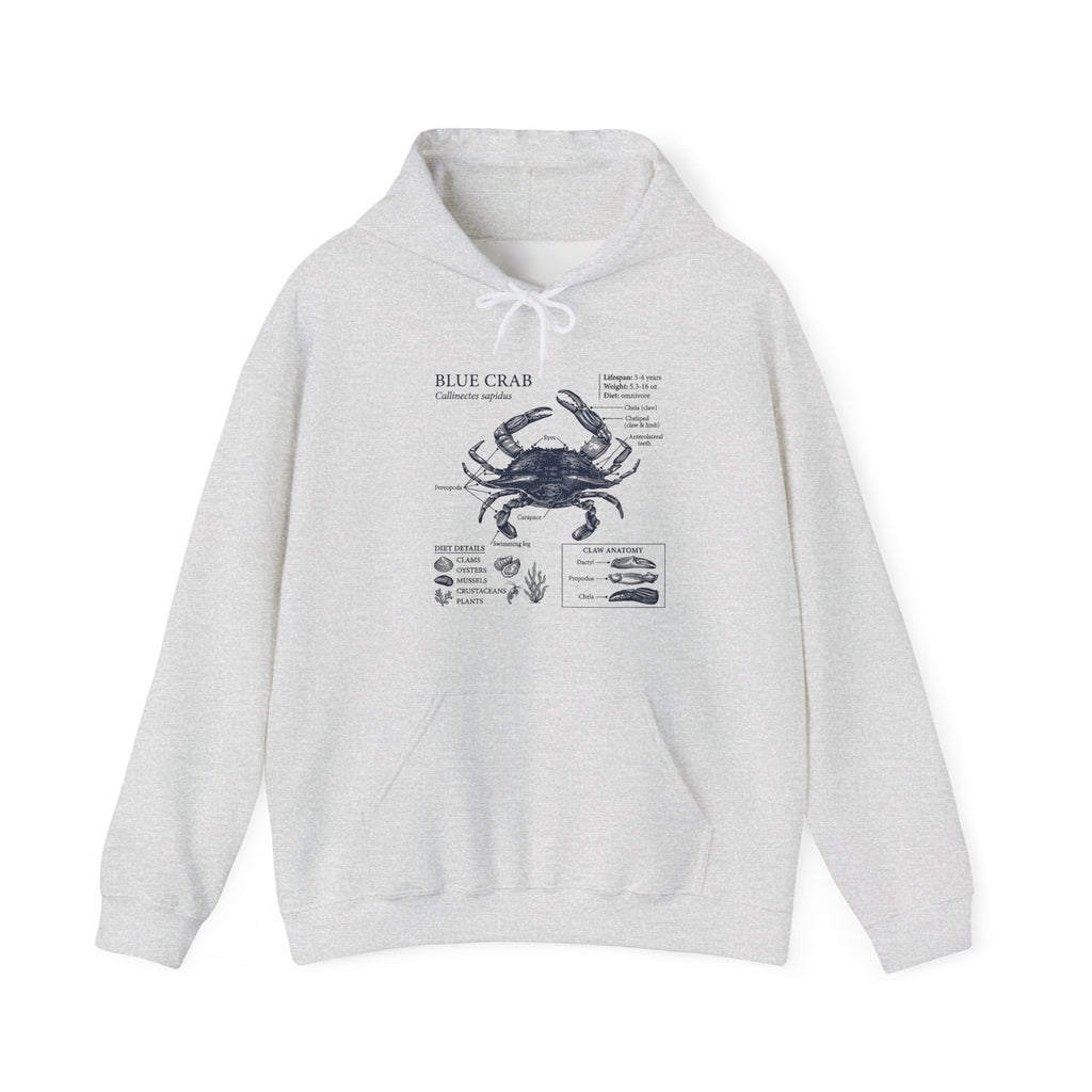 Blue Crab Anatomy Hoodie – Nautical Marine Biology Graphic Sweatshirt