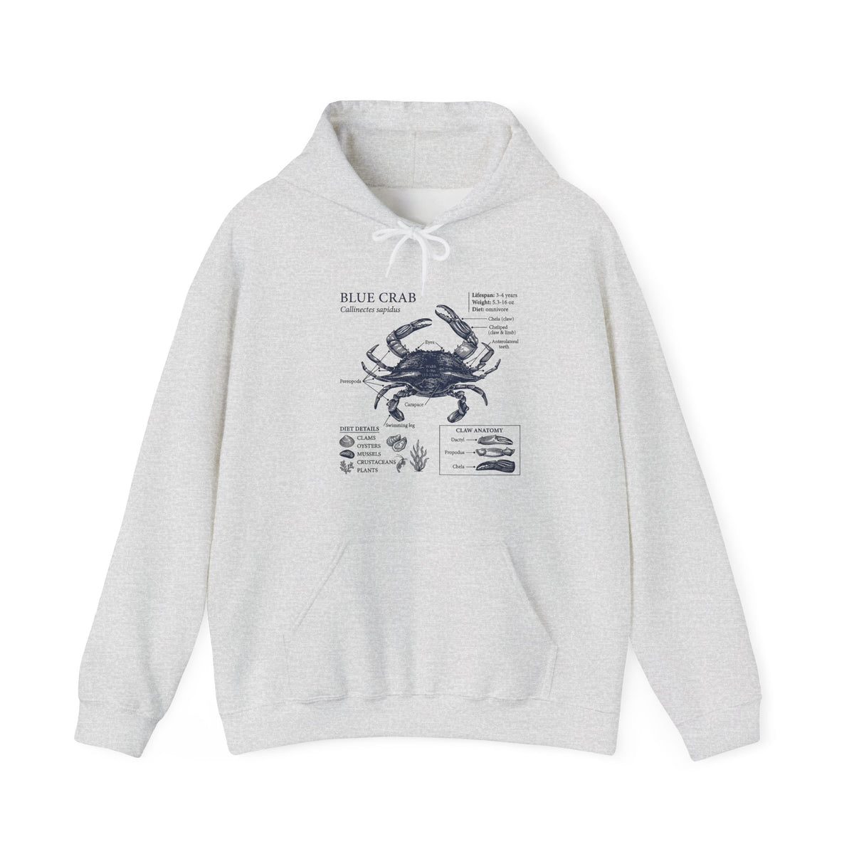 Blue Crab Anatomy Hoodie – Nautical Marine Biology Graphic Sweatshirt