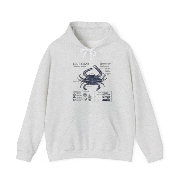 Blue Crab Anatomy Hoodie – Nautical Marine Biology Graphic Sweatshirt
