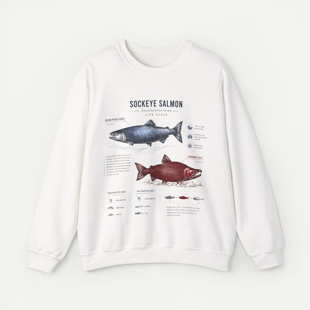 Sockeye Salmon Anatomy Sweatshirt — Fish Anatomy Graphic Crewneck