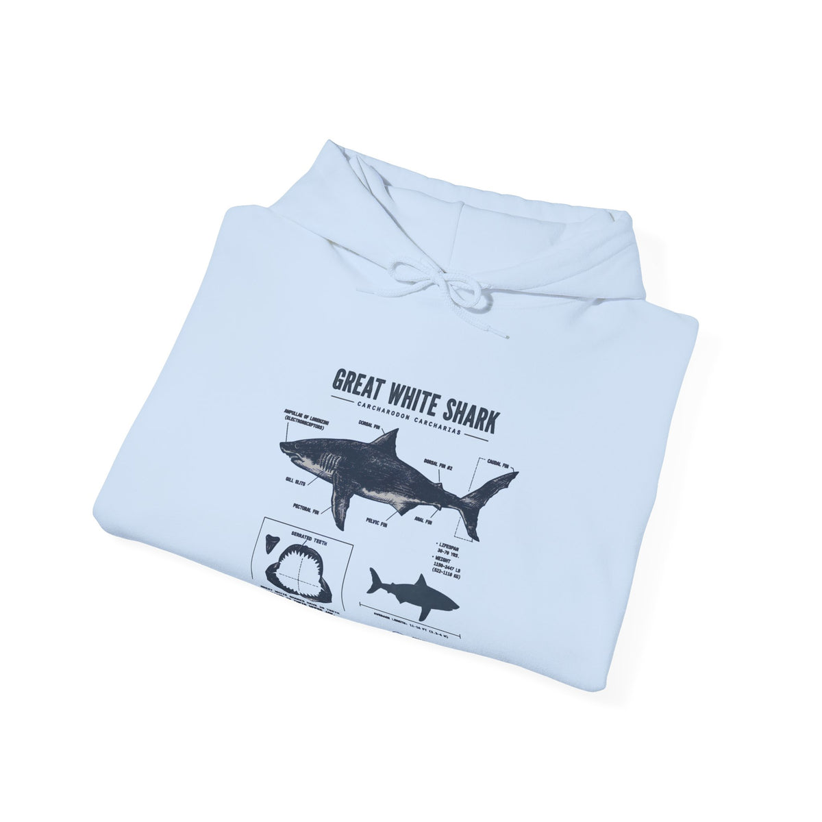 Shark Diagram Hoodie — Great White Shark Anatomy Graphic Sweatshirt