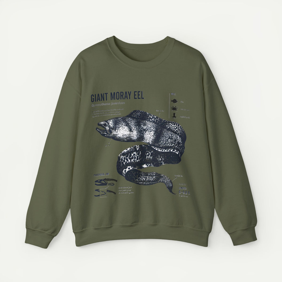 Giant Moray Eel Anatomy Sweatshirt