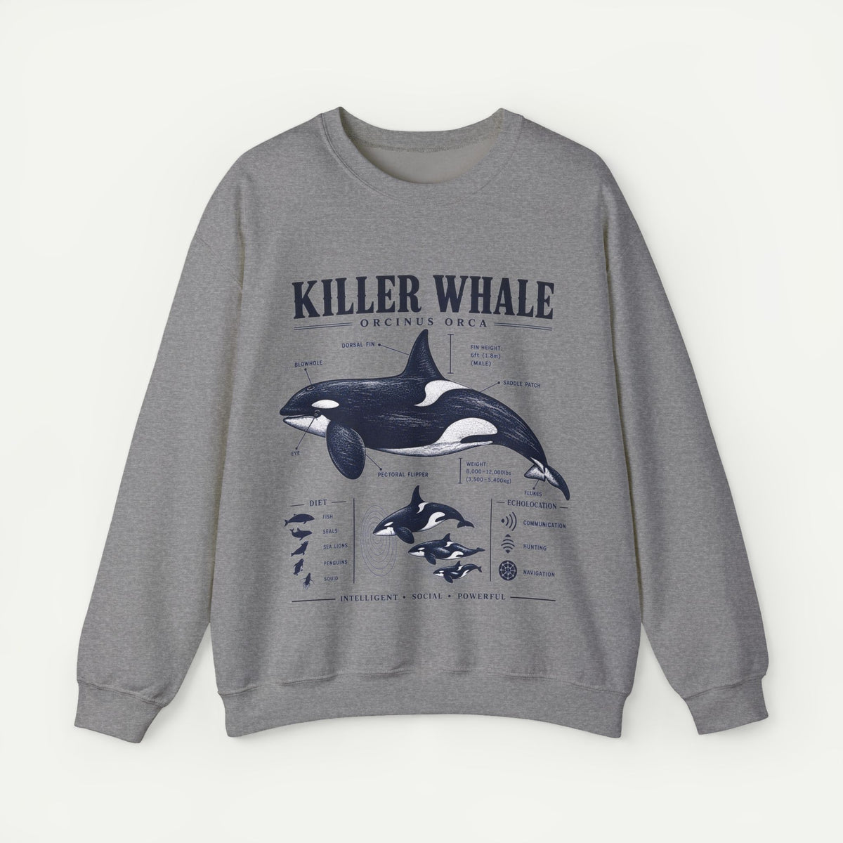 Killer Whale Anatomy Sweatshirt