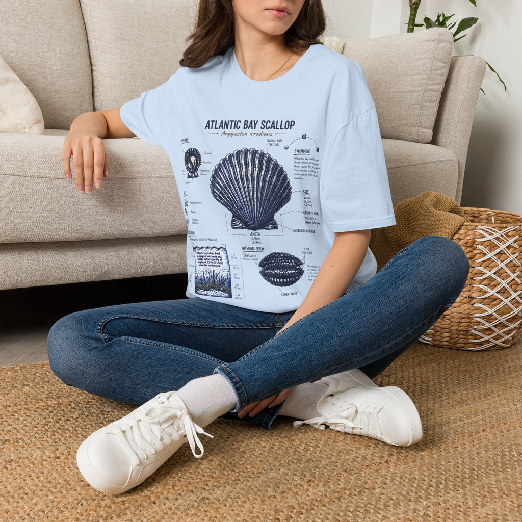 Scallop Shell Anatomy T‑Shirt — Atlantic Bay Scallop Illustration Tee