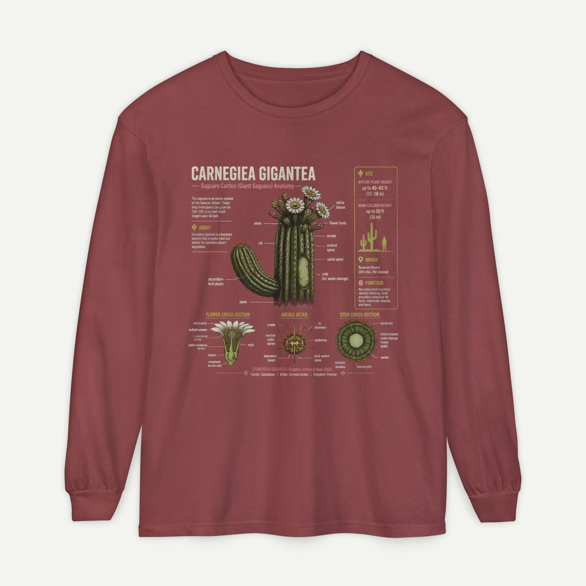 Saguaro Anatomy Long Sleeve Tee — Carnegiea Gigantea Cactus Diagram