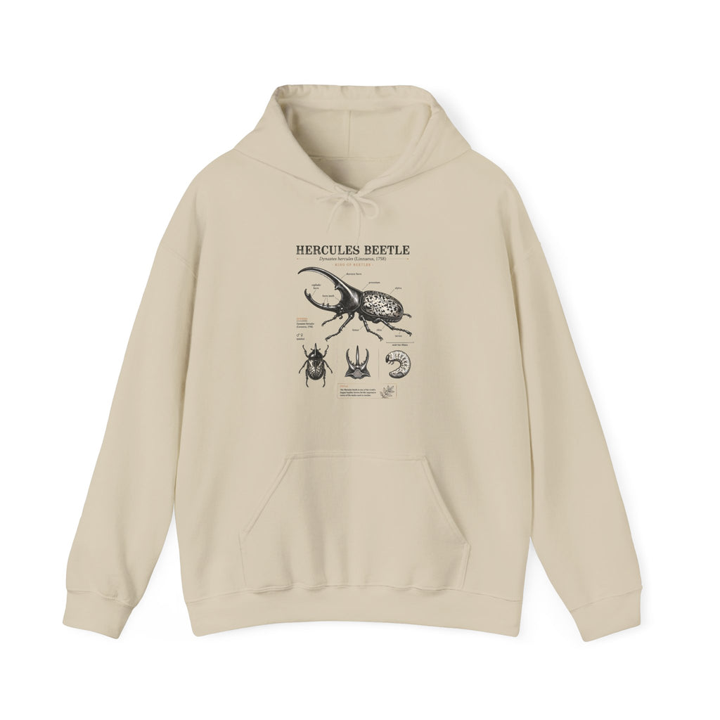 Hercules Beetle Anatomy Hoodie — Vintage Entomology Illustration Sweatshirt