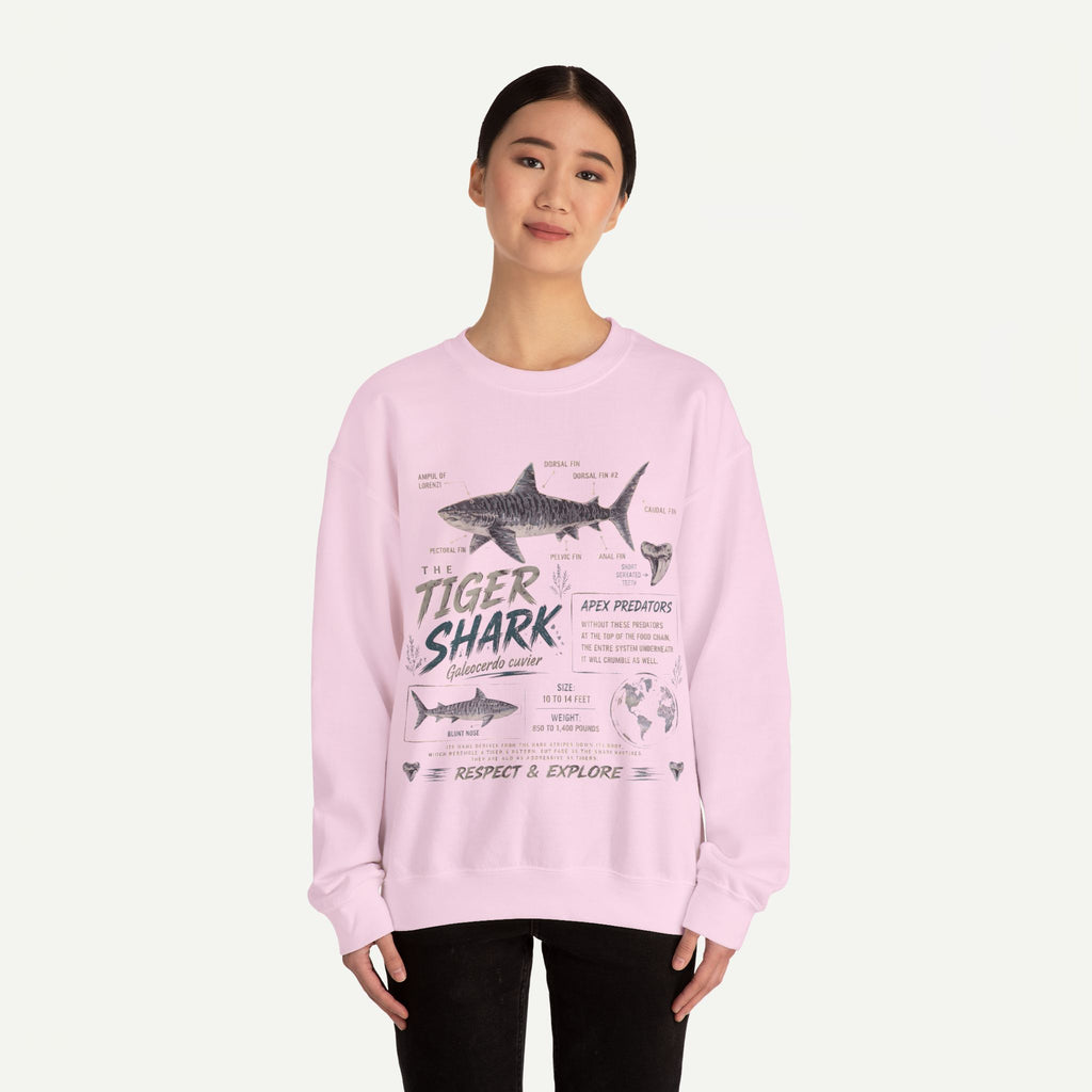 Tiger Shark Anatomy Sweatshirt — Marine Biology Graphic Crewneck