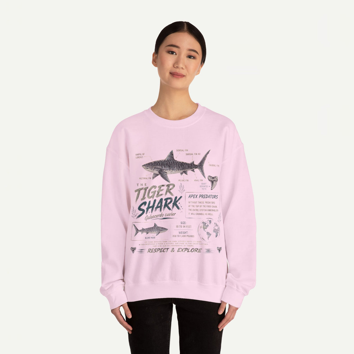 Tiger Shark Anatomy Sweatshirt — Marine Biology Graphic Crewneck