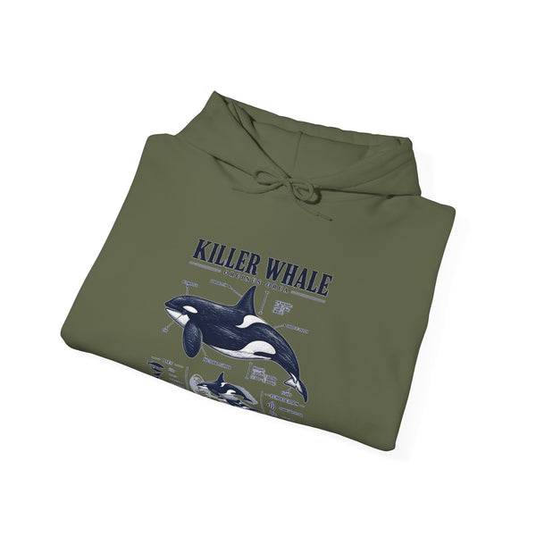 Killer Whale Anatomy Hoodie — Orca Scientific Diagram Sweatshirt