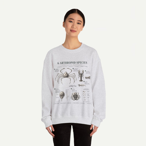 Arthropod Species Crewneck Sweatshirt — Vintage Scientific Bug Anatomy Pullover