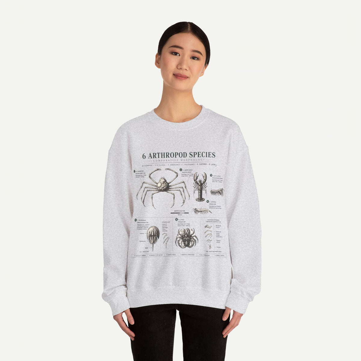 Arthropod Species Diagram Sweatshirt — Vintage Scientific Illustration Crewneck