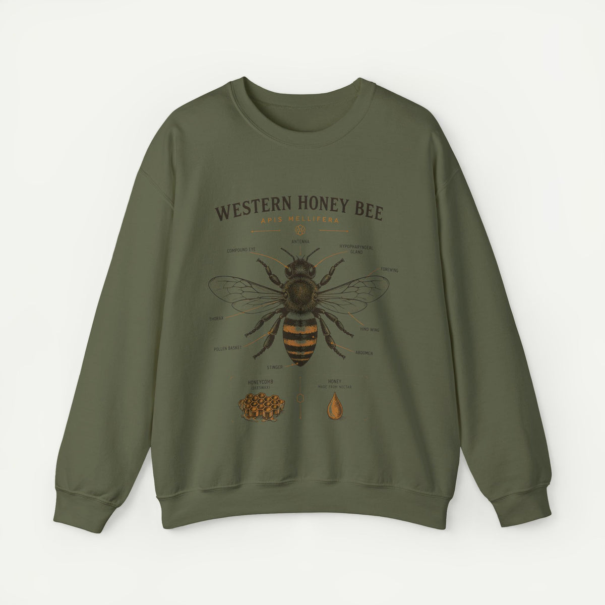 Western Honey Bee Sweatshirt — Vintage Bee Anatomy Graphic