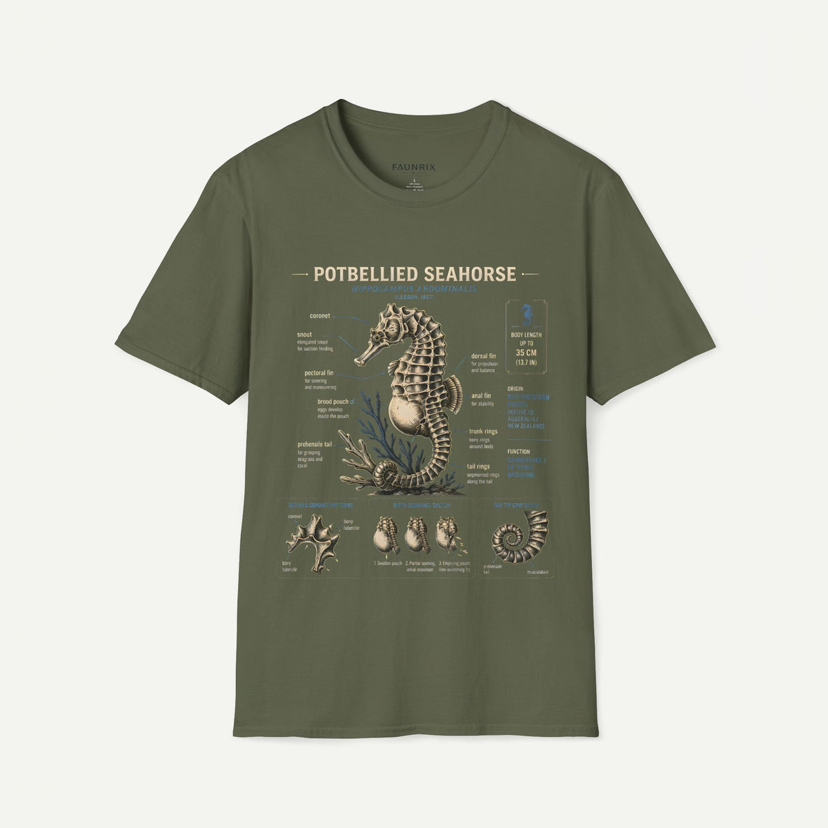 Seahorse Anatomy T-Shirt — Vintage Potbellied Seahorse Illustration