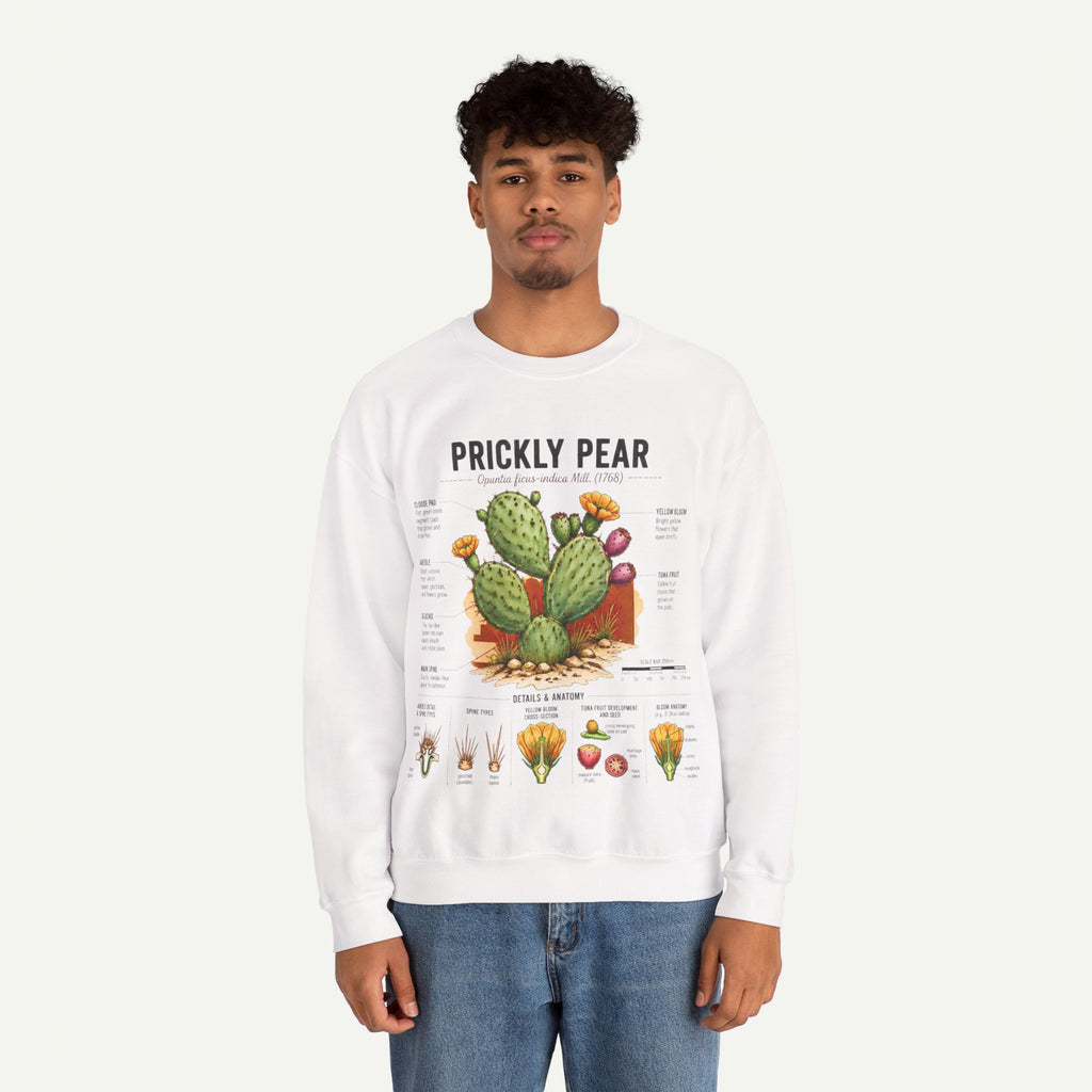 Prickly Pear Botanical Sweatshirt — Cactus Illustration Guide Crewneck