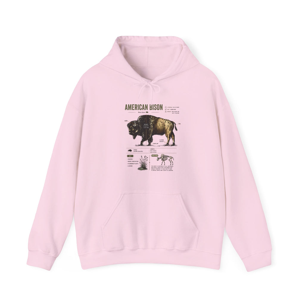 Bison Anatomy Hoodie — American Bison Illustration & Facts Sweatshirt