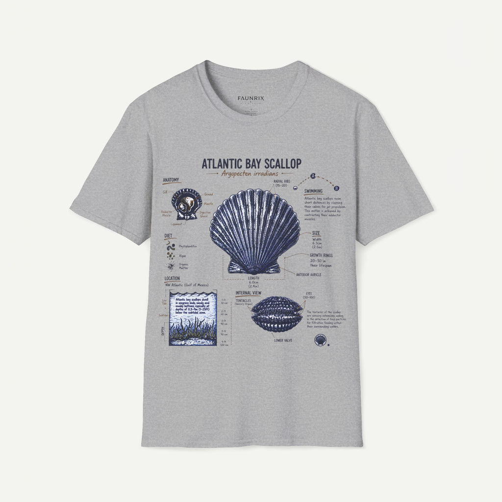 Scallop Shell Anatomy T‑Shirt — Atlantic Bay Scallop Illustration Tee