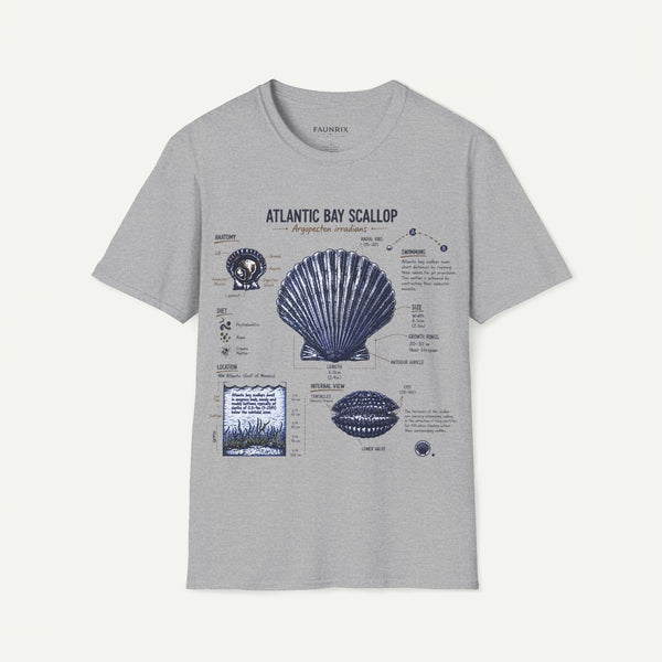 Scallop Shell Anatomy T‑Shirt — Atlantic Bay Scallop Illustration Tee