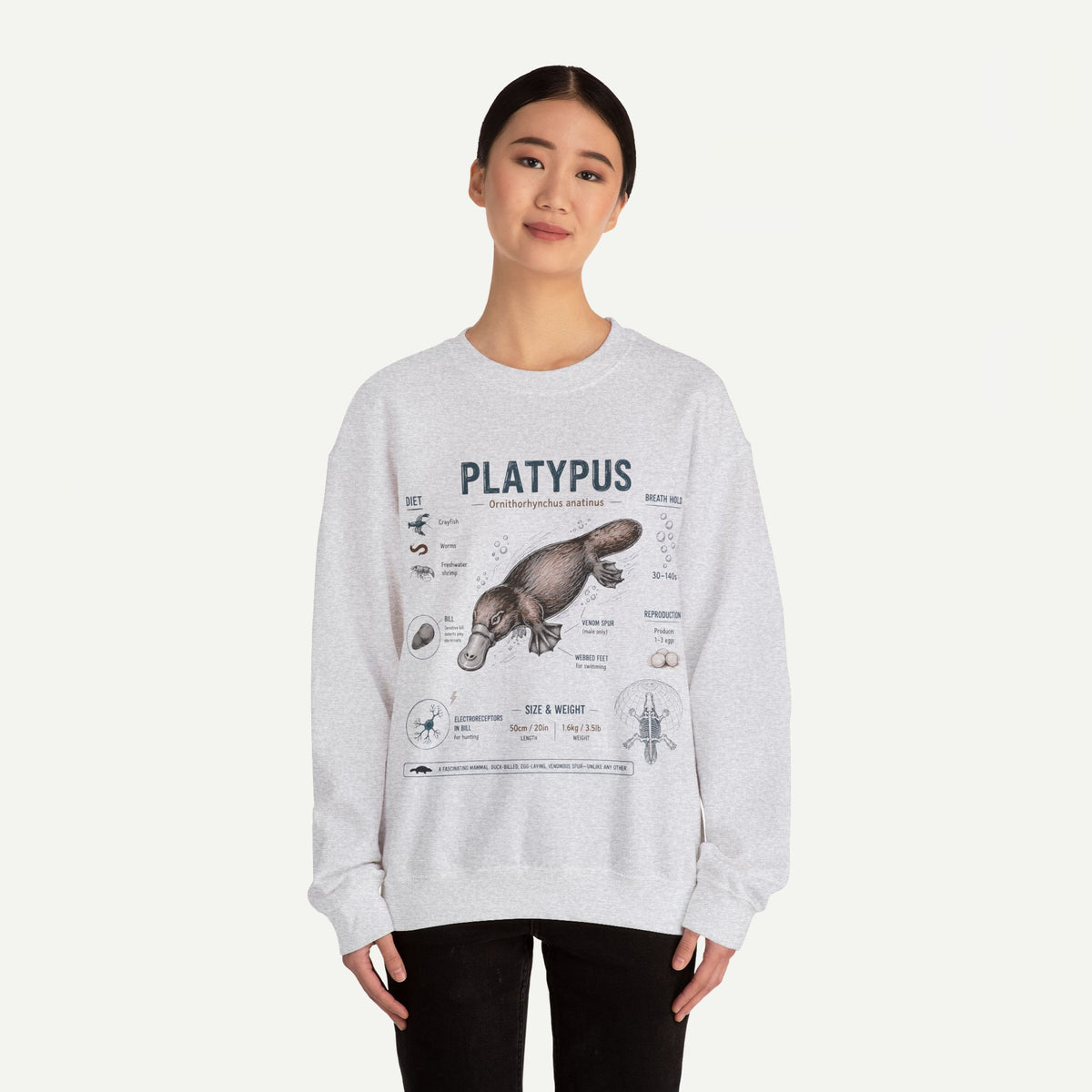Platypus Anatomy Sweatshirt — Vintage Scientific Illustration