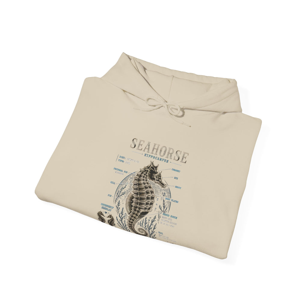 Seahorse Anatomy Hoodie — Vintage Marine Illustration Sweatshirt