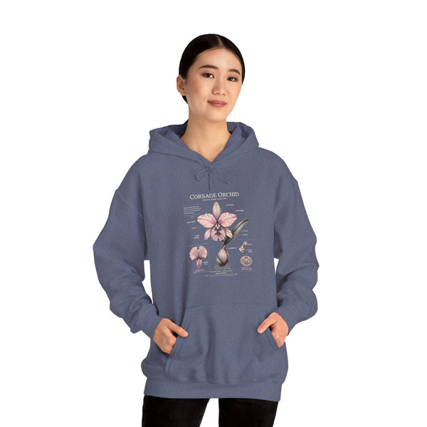 Orchid Botanical Hoodie — Cattleya Orchid Illustration Floral Pullover