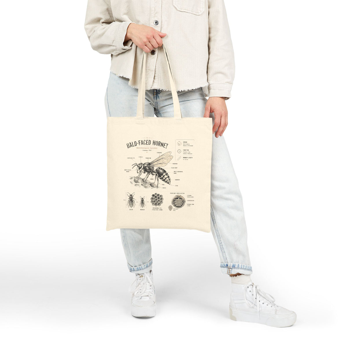 Bald-Faced Hornet Anatomy Cotton Tote Bag — Vintage Entomology Illustration