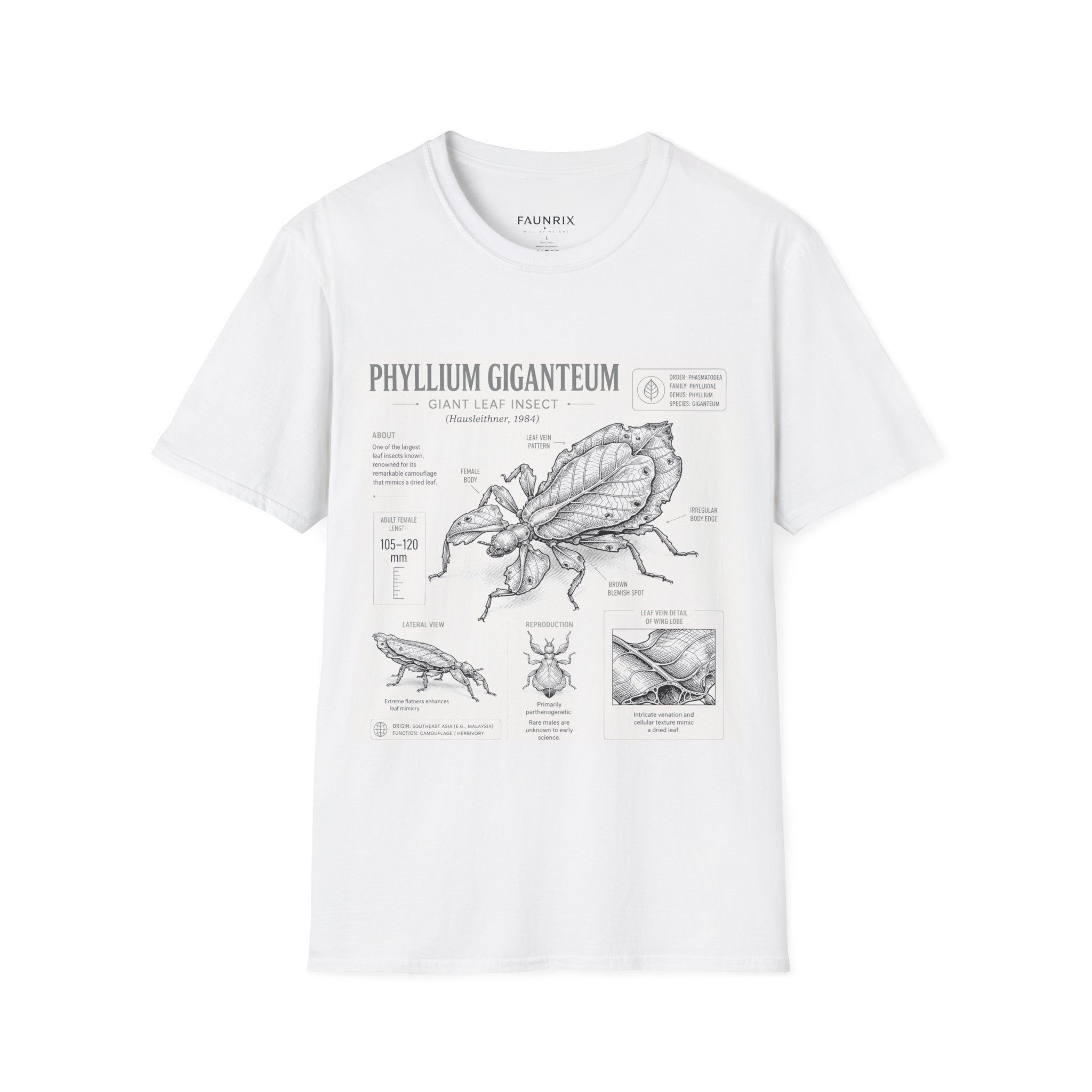 Phyllium Giganteum Anatomy T-Shirt — Botanical Insect Illustration Tee Secondary image