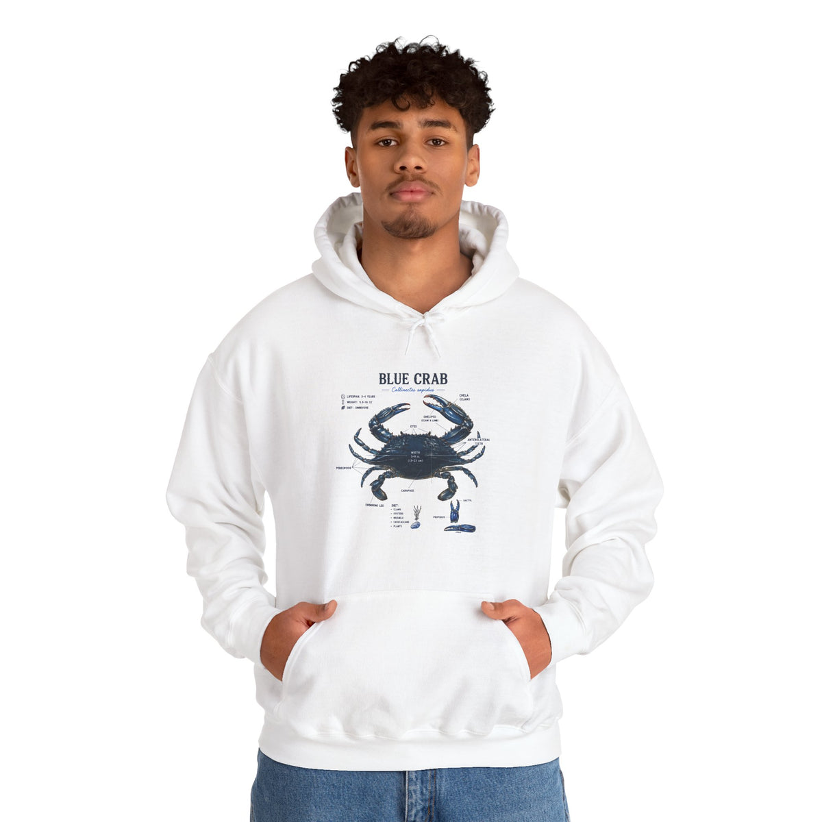 Blue Crab Anatomy Hoodie — Nautical Marine Biology Graphic Sweatshirt