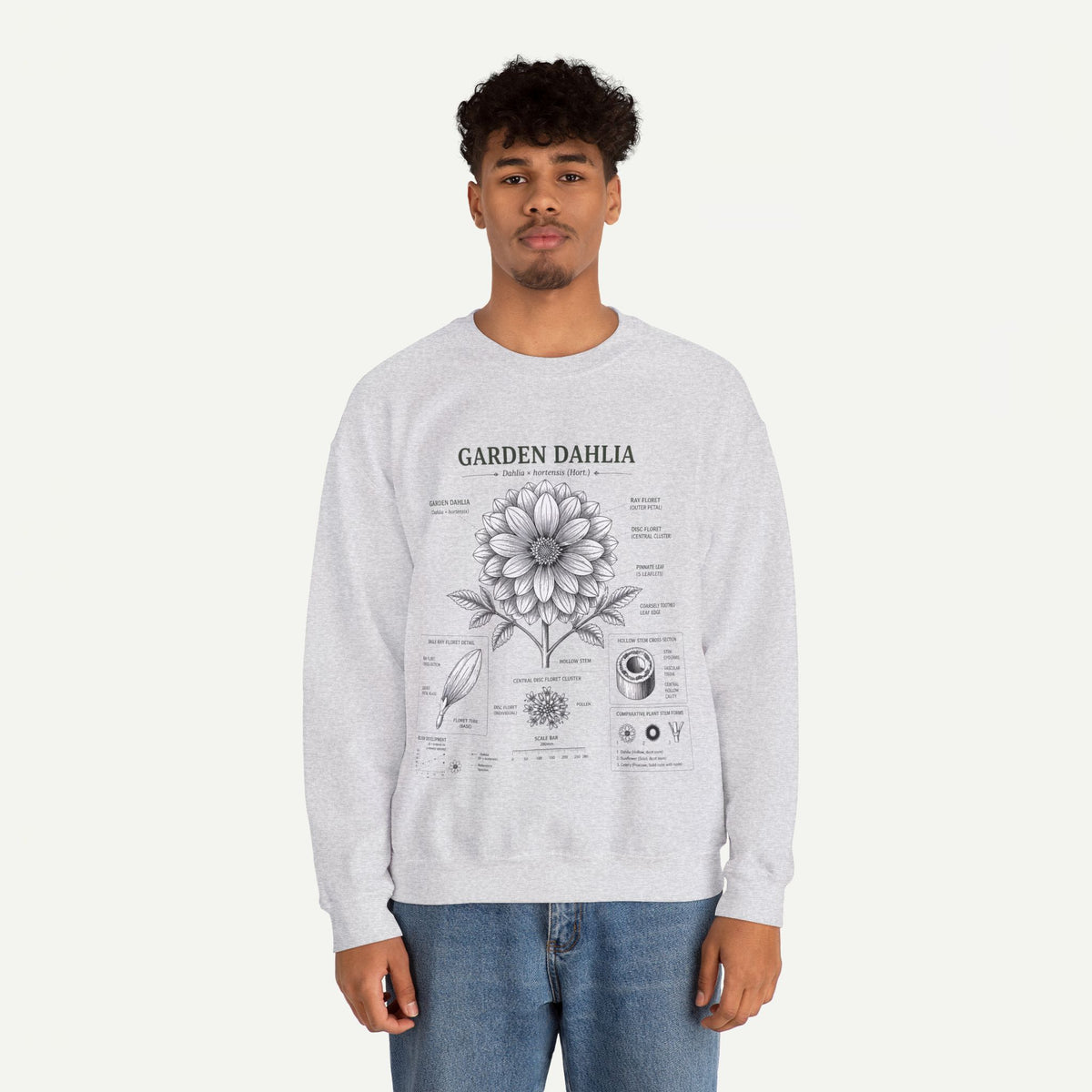 Dahlia Botanical Sweatshirt — Garden Dahlia Floral Diagram Crewneck