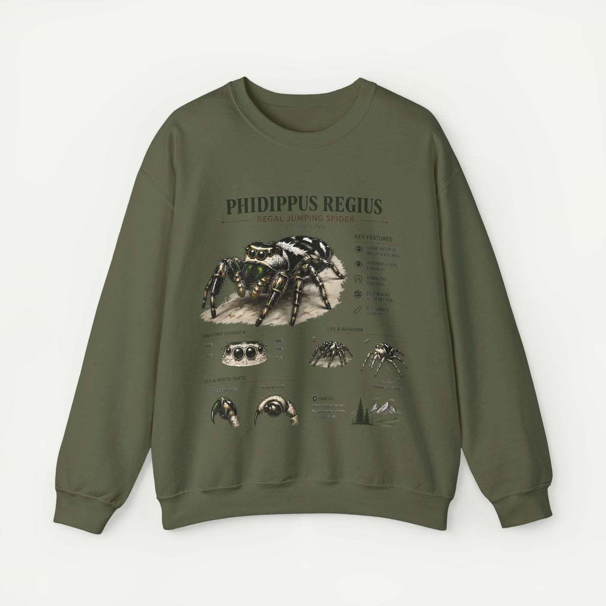 Spider Anatomy Crewneck Sweatshirt — Phidippus Regius Jumping Spider Illustration