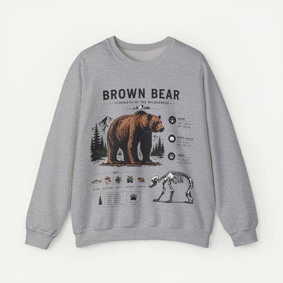 Brown Bear Anatomy Sweatshirt — Wildlife Illustration Graphic Sweatshirt