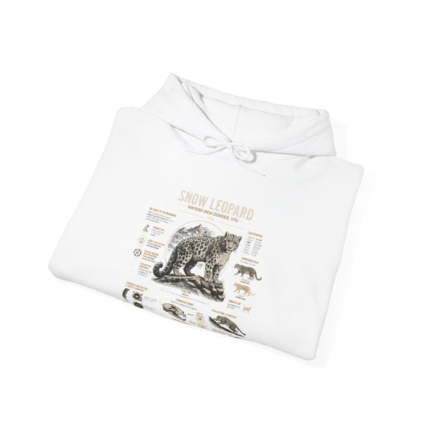 Bear Anatomy Hoodie — Vintage Wildlife Illustration Sweatshirt