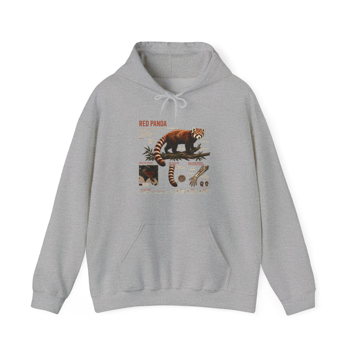 Red Panda Anatomy Hoodie — Vintage Wildlife Guide Sweatshirt