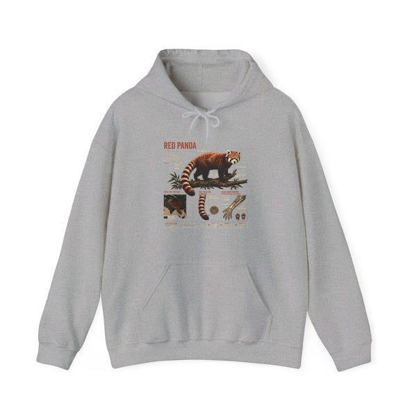 Red Panda Anatomy Hoodie — Vintage Wildlife Guide Sweatshirt