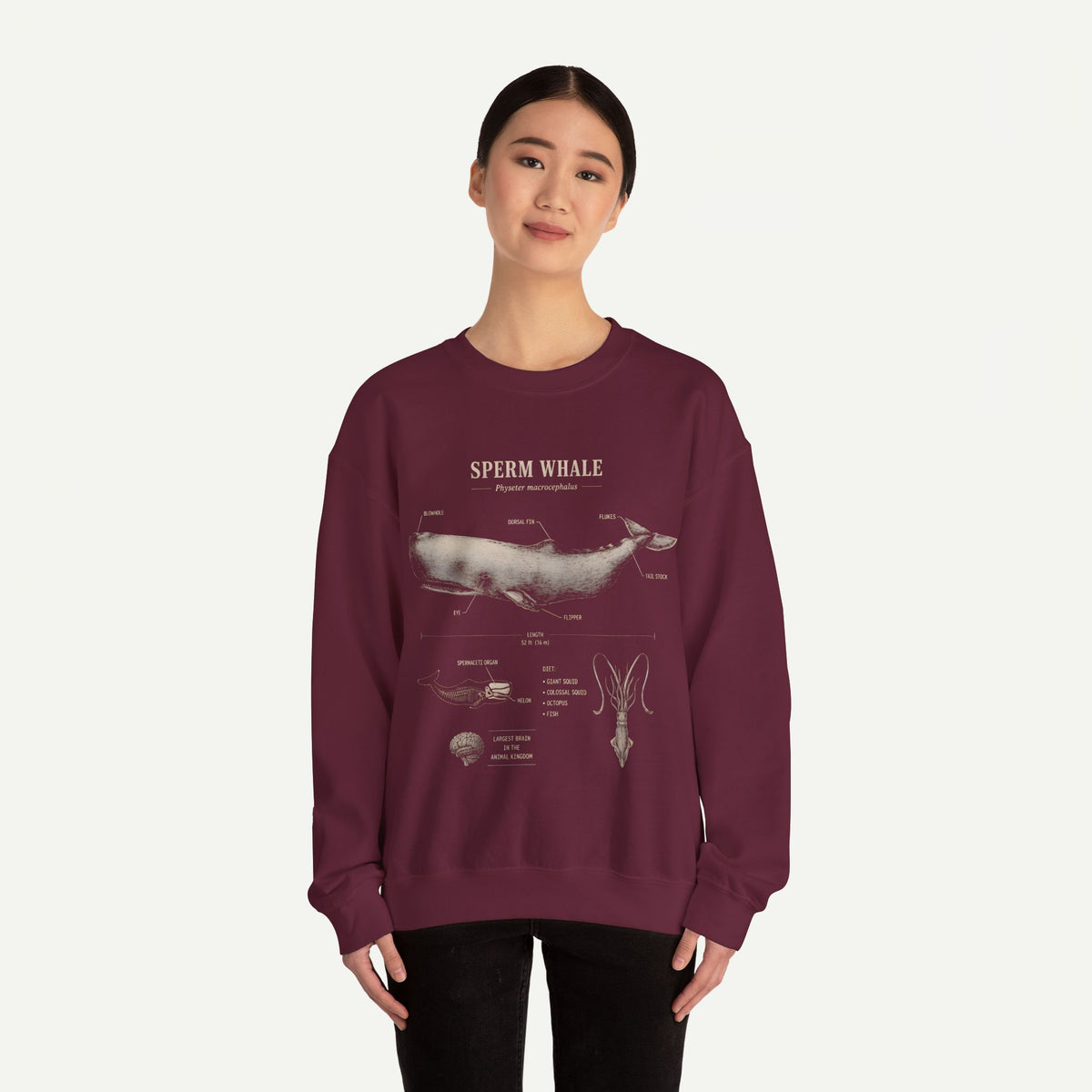 Sperm Whale Anatomy Sweatshirt — Vintage Marine Biology Illustration