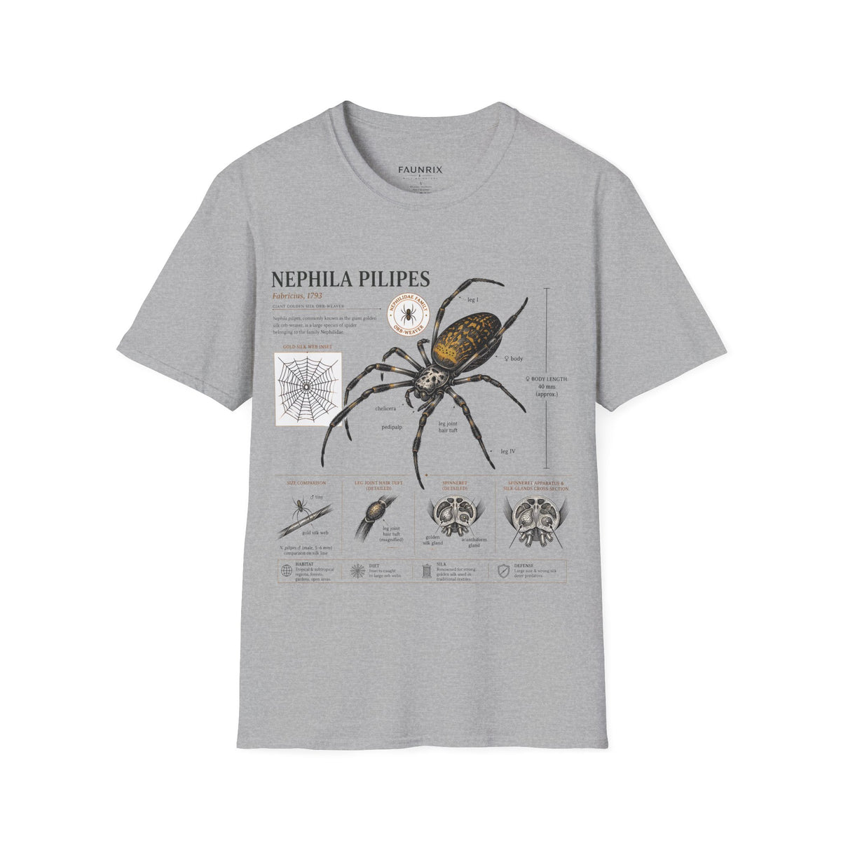 Spider Anatomy T-Shirt — Epephila Pilipis Scientific Illustration Tee