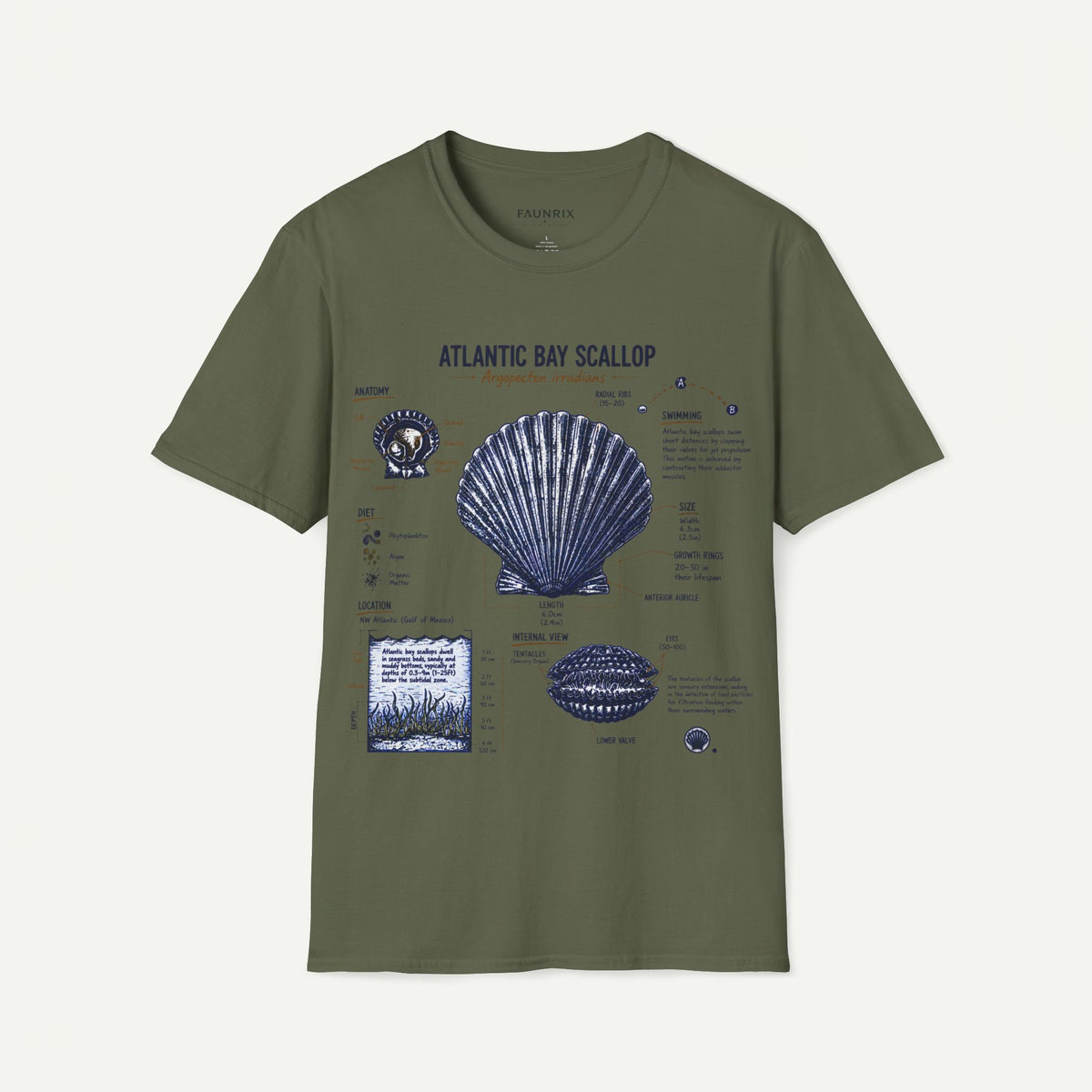Scallop Shell Anatomy T‑Shirt — Atlantic Bay Scallop Illustration Tee
