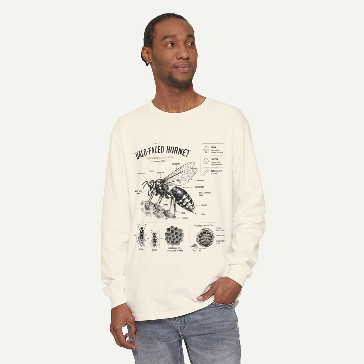 Bald-Faced Hornet Anatomy Long Sleeve Tee