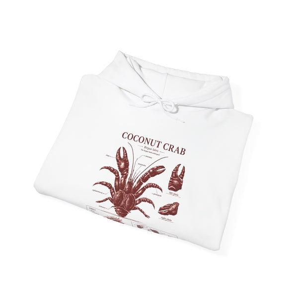 Coconut Crab Anatomy Hoodie — Vintage Botanical & Marine Study Print