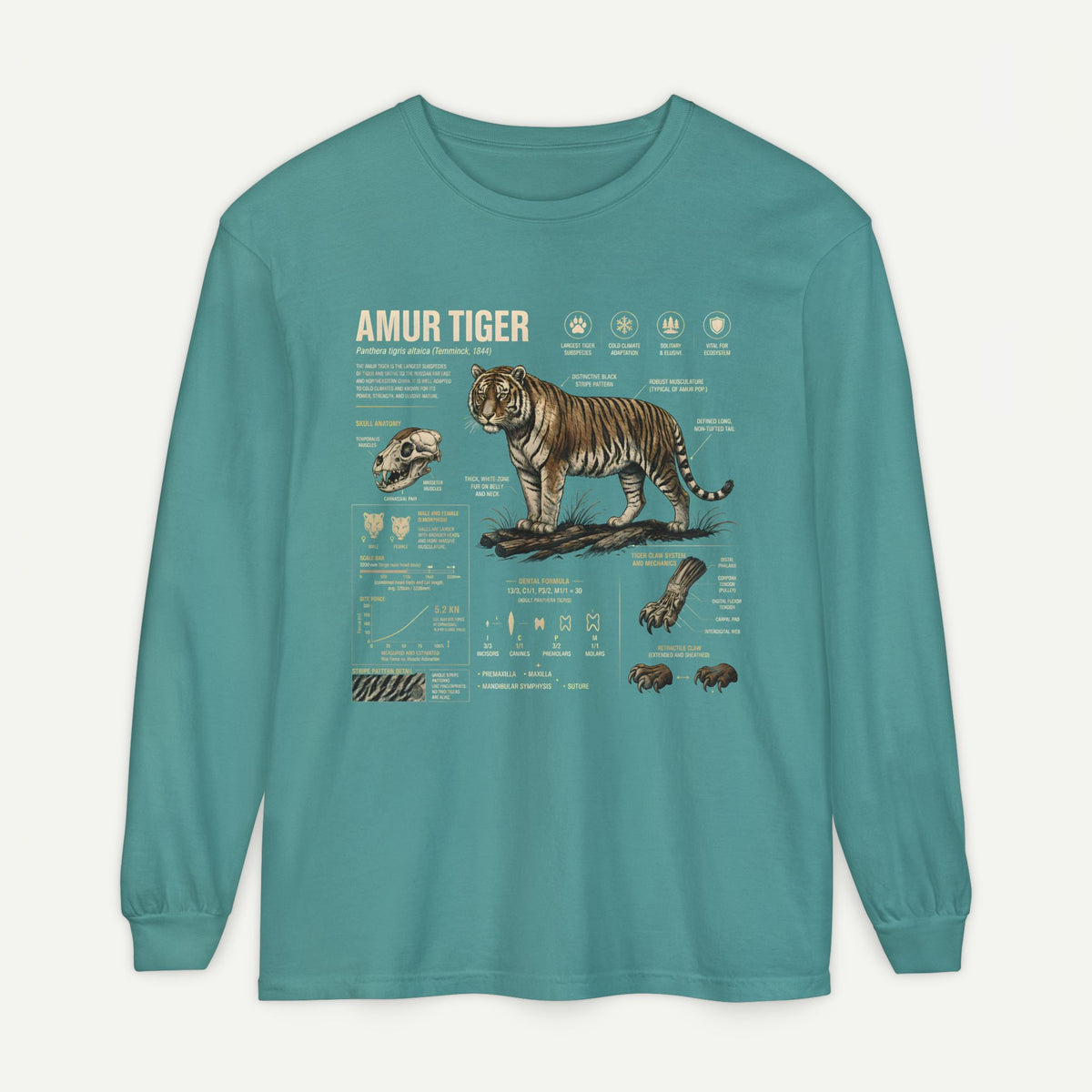Amur Tiger Anatomy Long Sleeve Tee