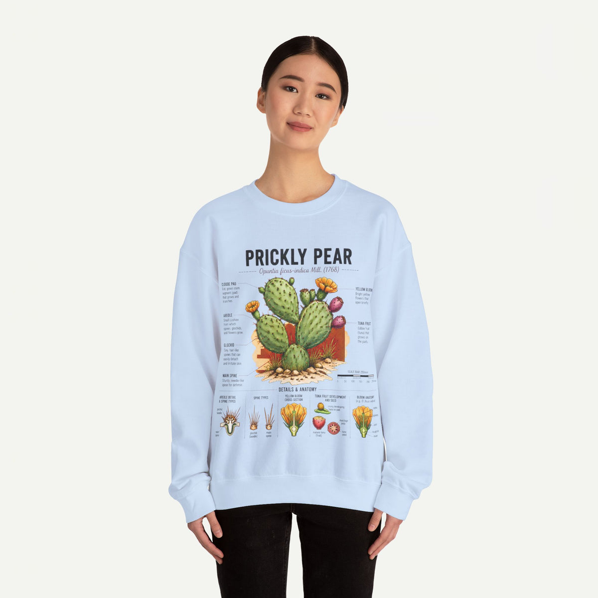 Prickly Pear Botanical Sweatshirt — Cactus Illustration Guide Crewneck