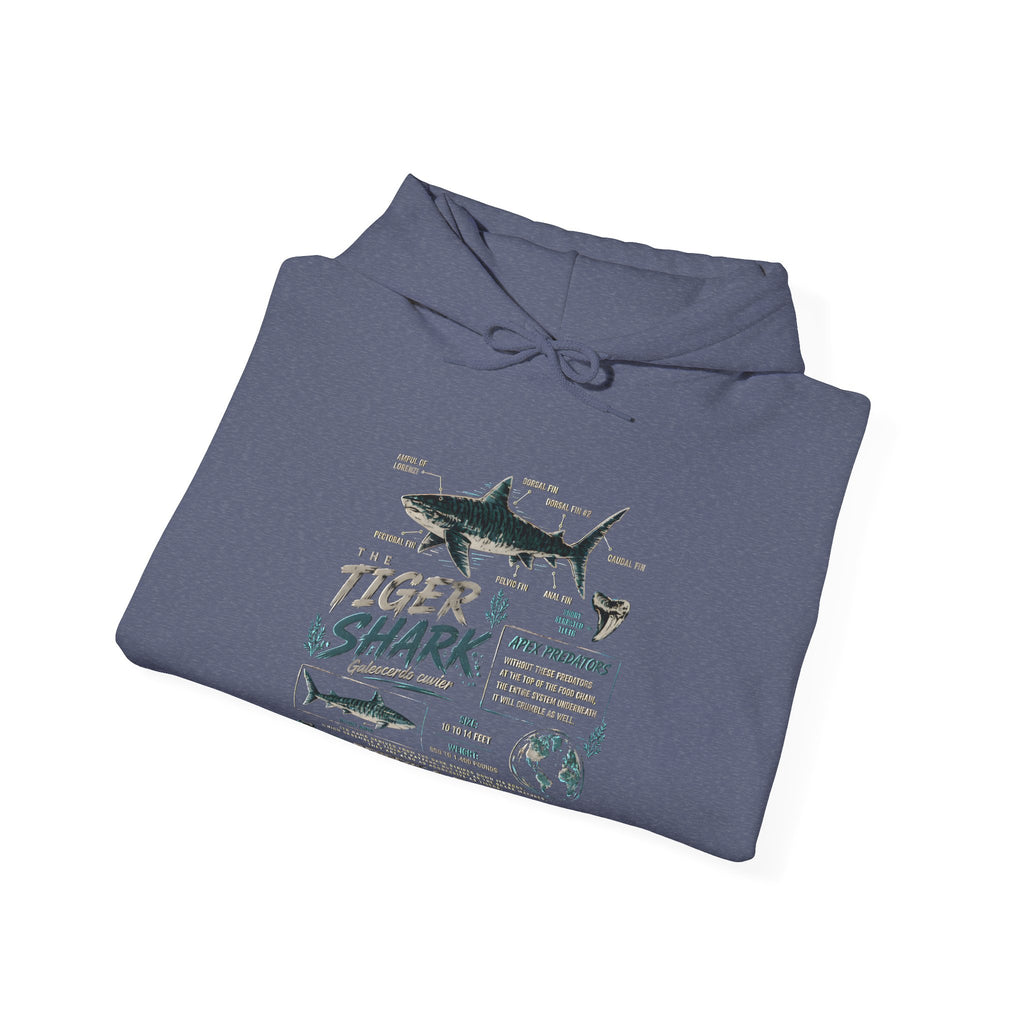 Tiger Shark Illustration Hoodie — Marine Biology Graphic Pullover (Tiger Shark Facts)