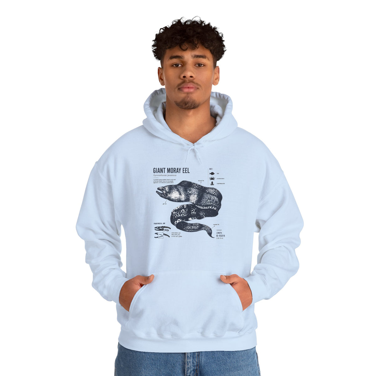 Sea Snake Diagram Hoodie - Vintage Scientific Illustration Sweatshirt