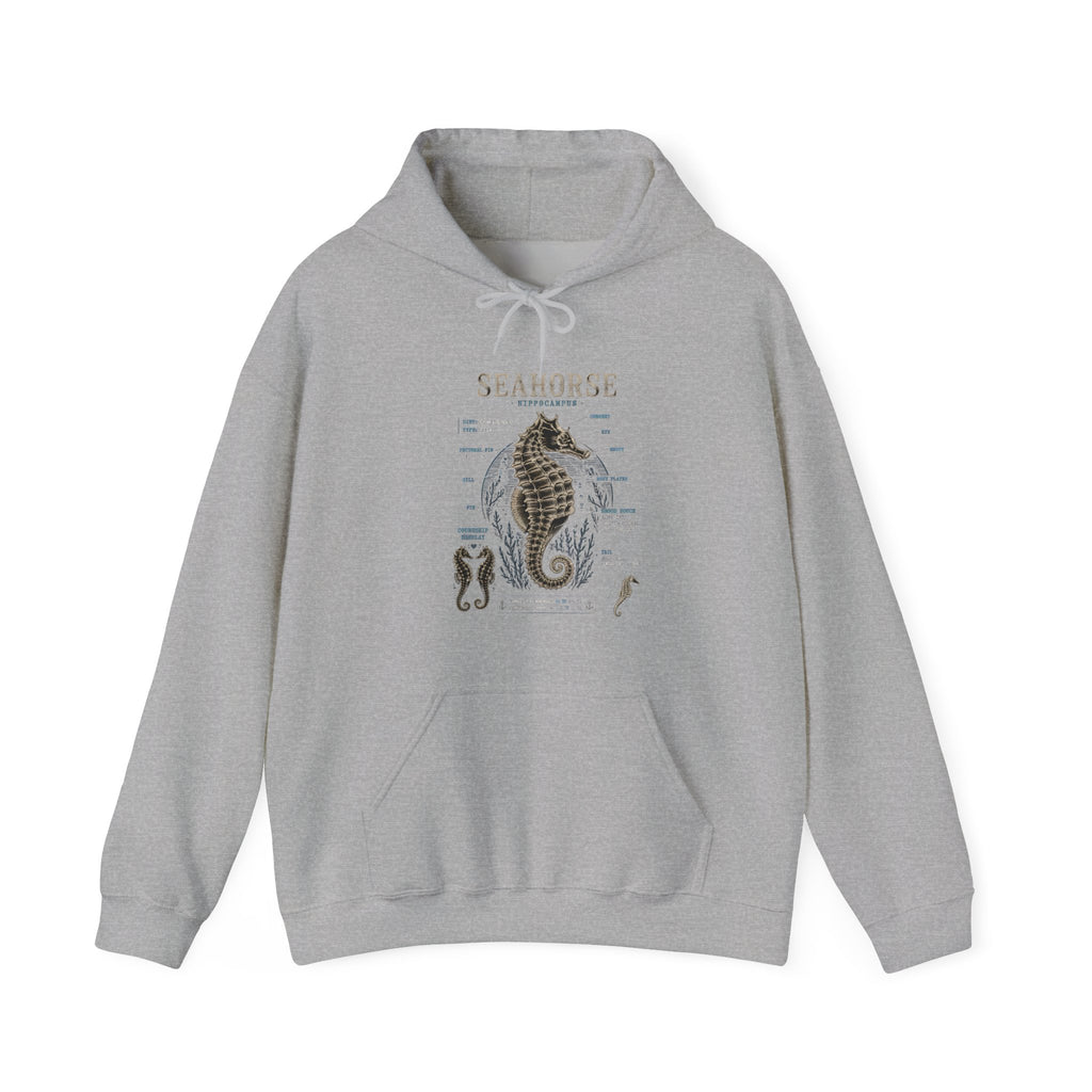 Seahorse Anatomy Hoodie — Vintage Marine Illustration Sweatshirt